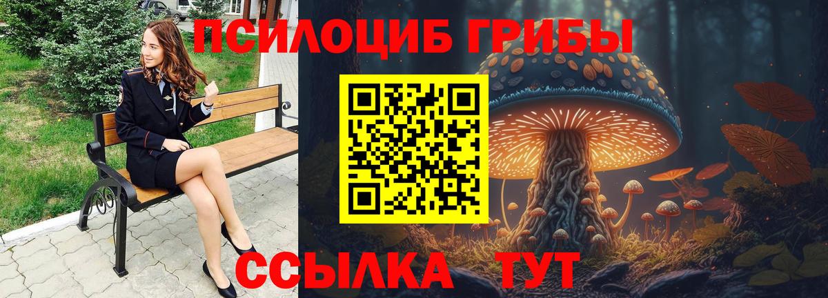 Гудермес  Псилоцибиновые грибы прущие грибы  Псилоцибиновые грибы Magic Shrooms  Вход с VPN 